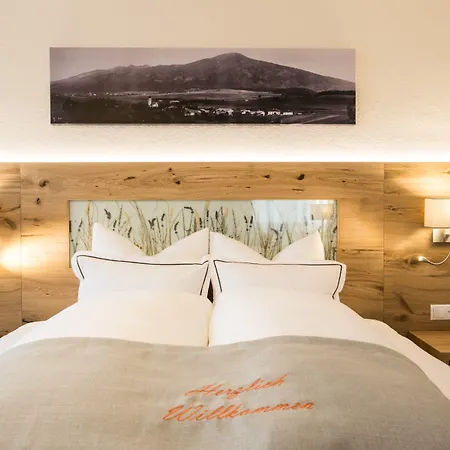 Der Walzl Hotel Lans