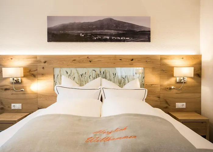 Der Walzl Hotel Lans