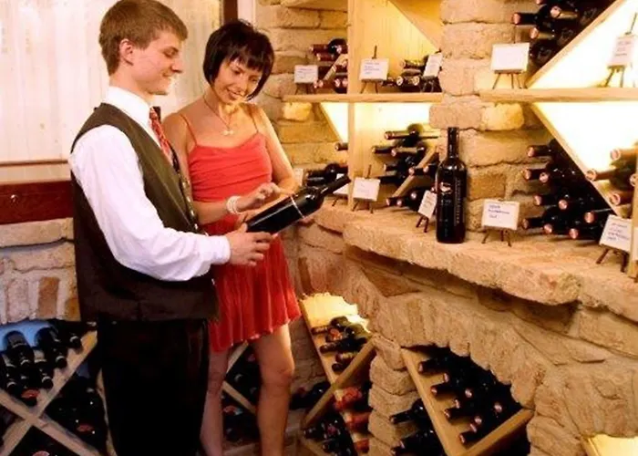 Der Walzl Hotel Lans